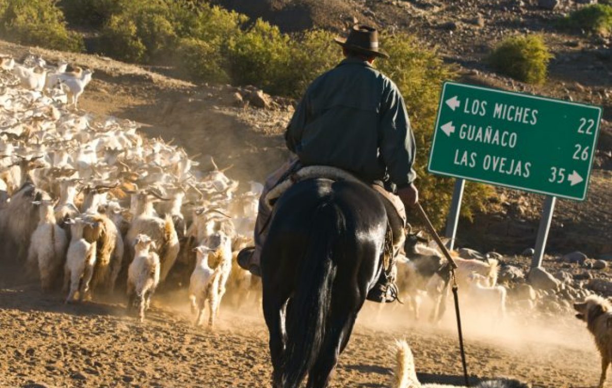 Neuquén: Pequeños productores reclaman la titularización de sus tierras