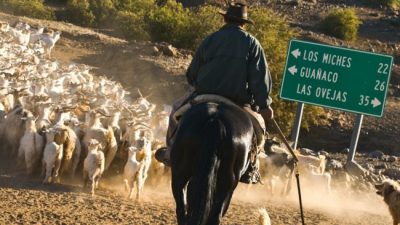 Neuquén: Pequeños productores reclaman la titularización de sus tierras
