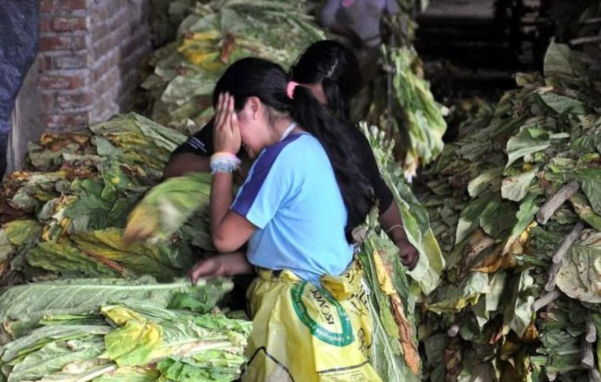 En pandemia, más trabajo infantil