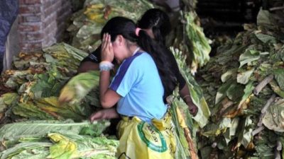 En pandemia, más trabajo infantil