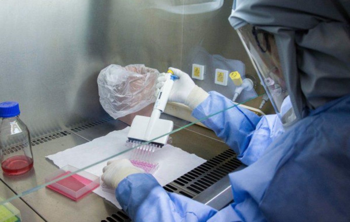 Las mujeres ocupan menos del 25% del empleo en Ciencia y Tecnología en Argentina