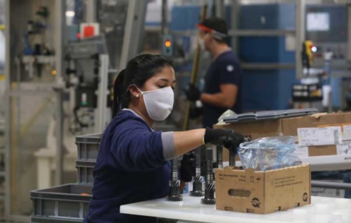 El Programa de Fomento generó más de mil puestos de trabajo genuino en Catamarca