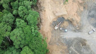 El río, el bosque y la ceguera