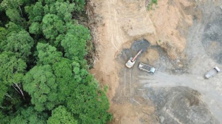 El río, el bosque y la ceguera
