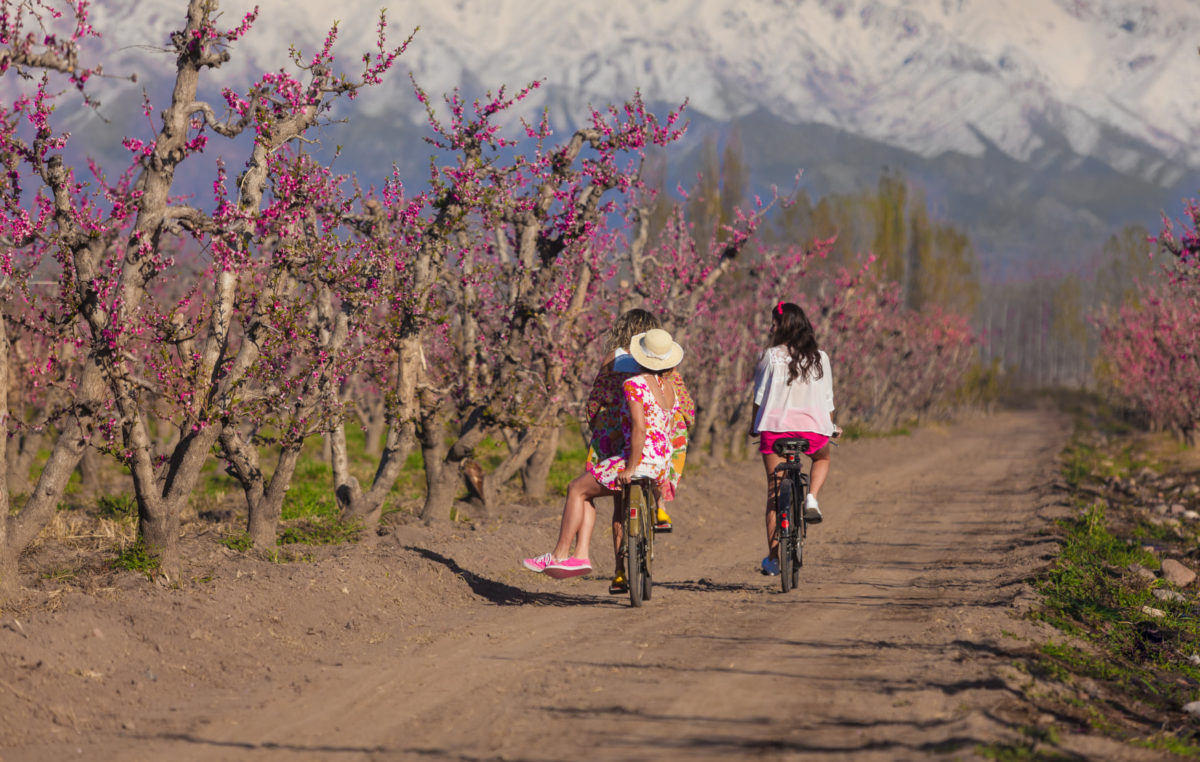 Cinco ciudades que todos quieren conocer en primavera