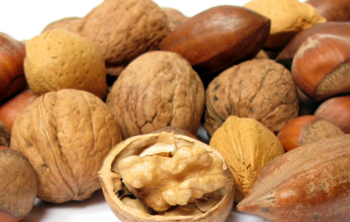 Viedma celebra su Fiesta de los Frutos Secos