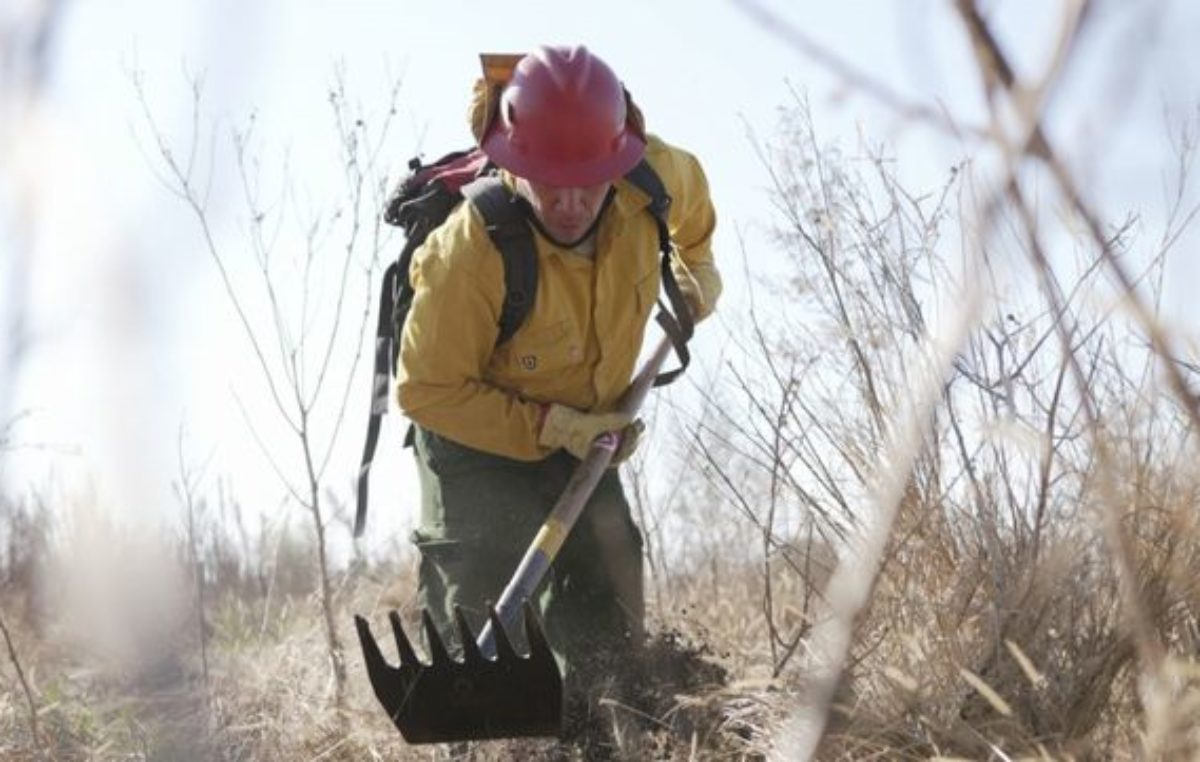 Santa Fe participa en un operativo con Buenos Aires y Entre Ríos para combatir el fuego en las islas