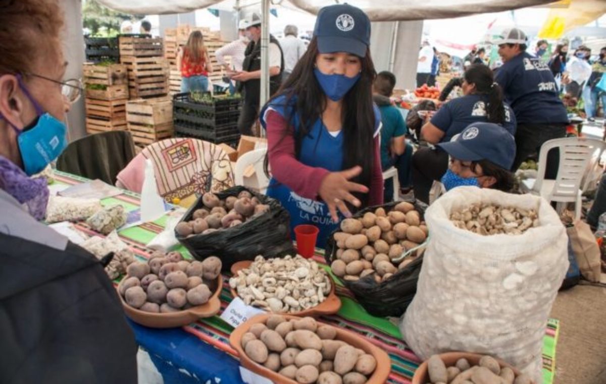 La pequeña producción, una apuesta que falta
