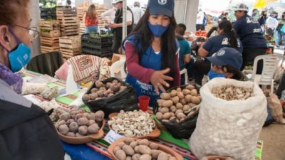 La pequeña producción, una apuesta que falta