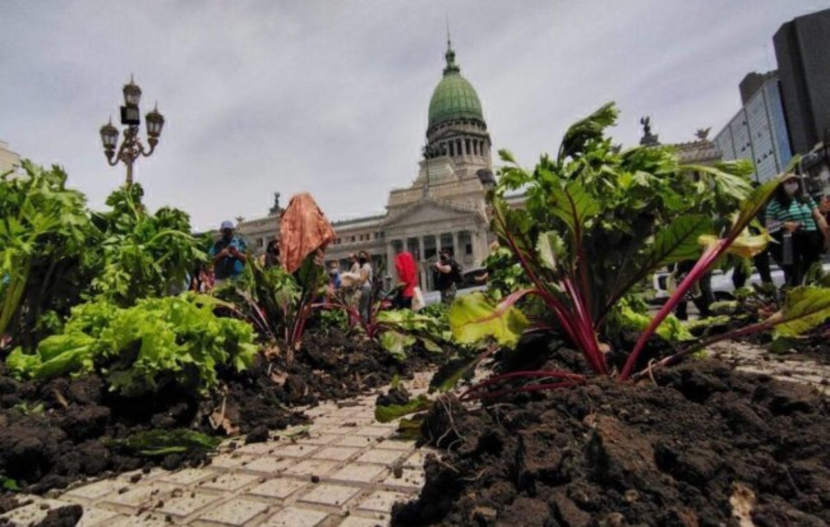 La UTT acampa en el Congreso en reclamo de una Ley de Acceso a la Tierra
