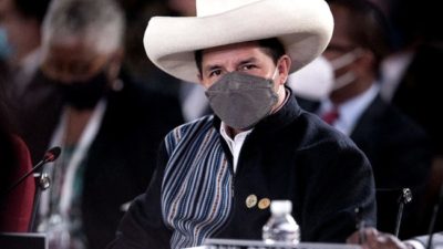 El presidente Castillo, entre la continuidad y el cambio en la política frente a la coca
