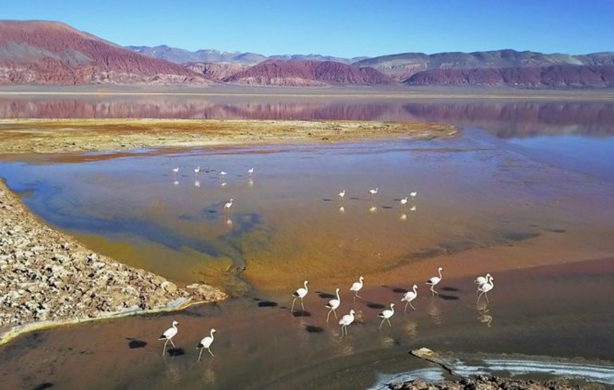 La tierra multicolor de Carachi Pampa