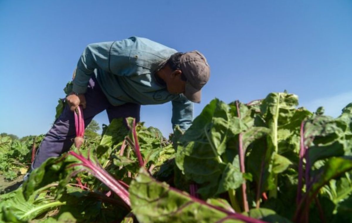 Un régimen que protege a la agricultura familiar