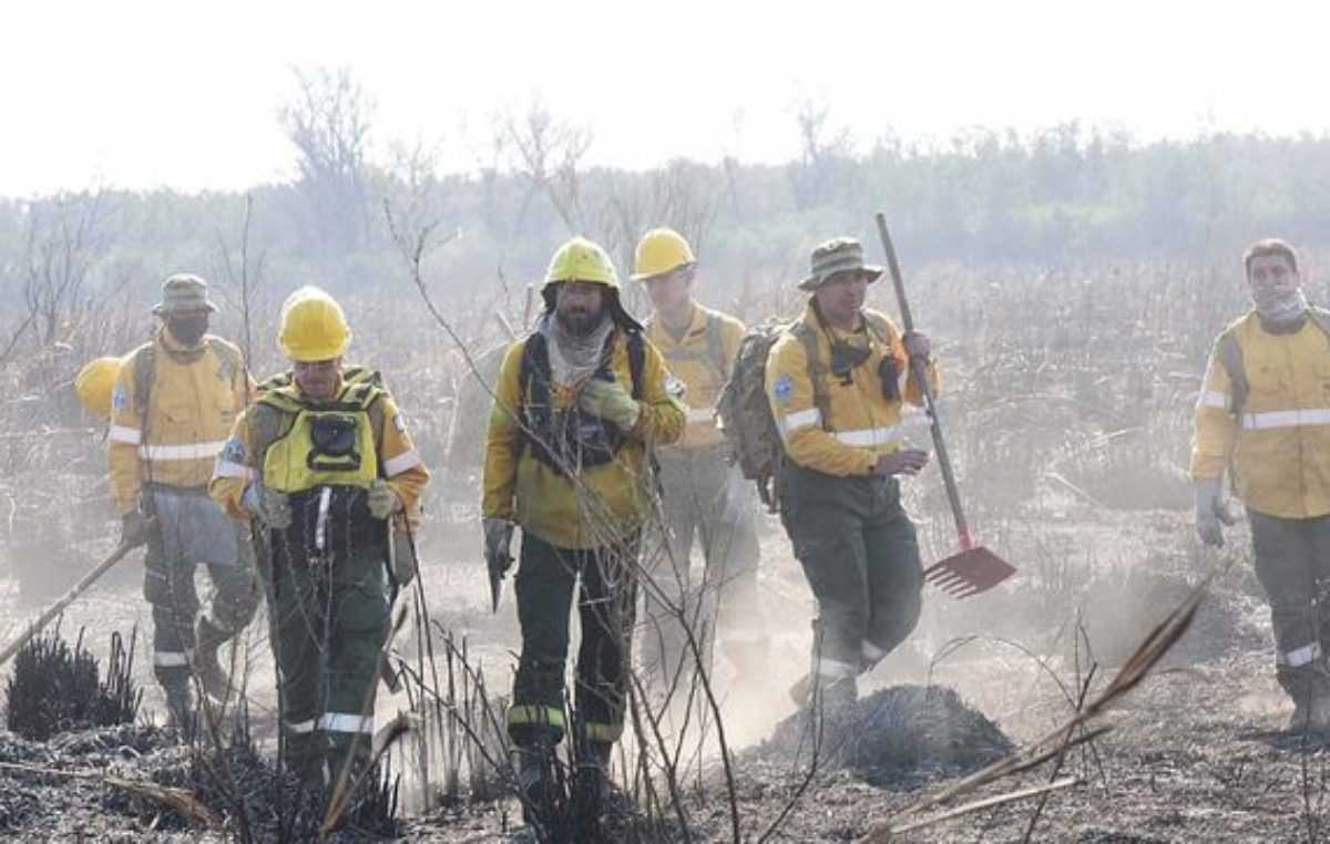 Combate de incendios en las islas: cuánto le cuesta a la provincia de Santa Fe cada operativo