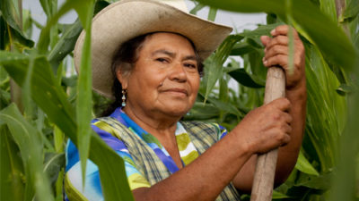 Mujeres campesinas denuncian el pobre acceso a la propiedad de la tierra