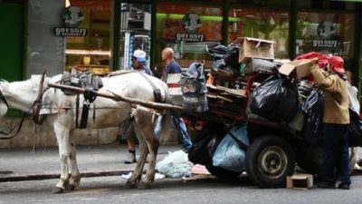 Continúa el programa de erradicación de la tracción a sangre en Concordia