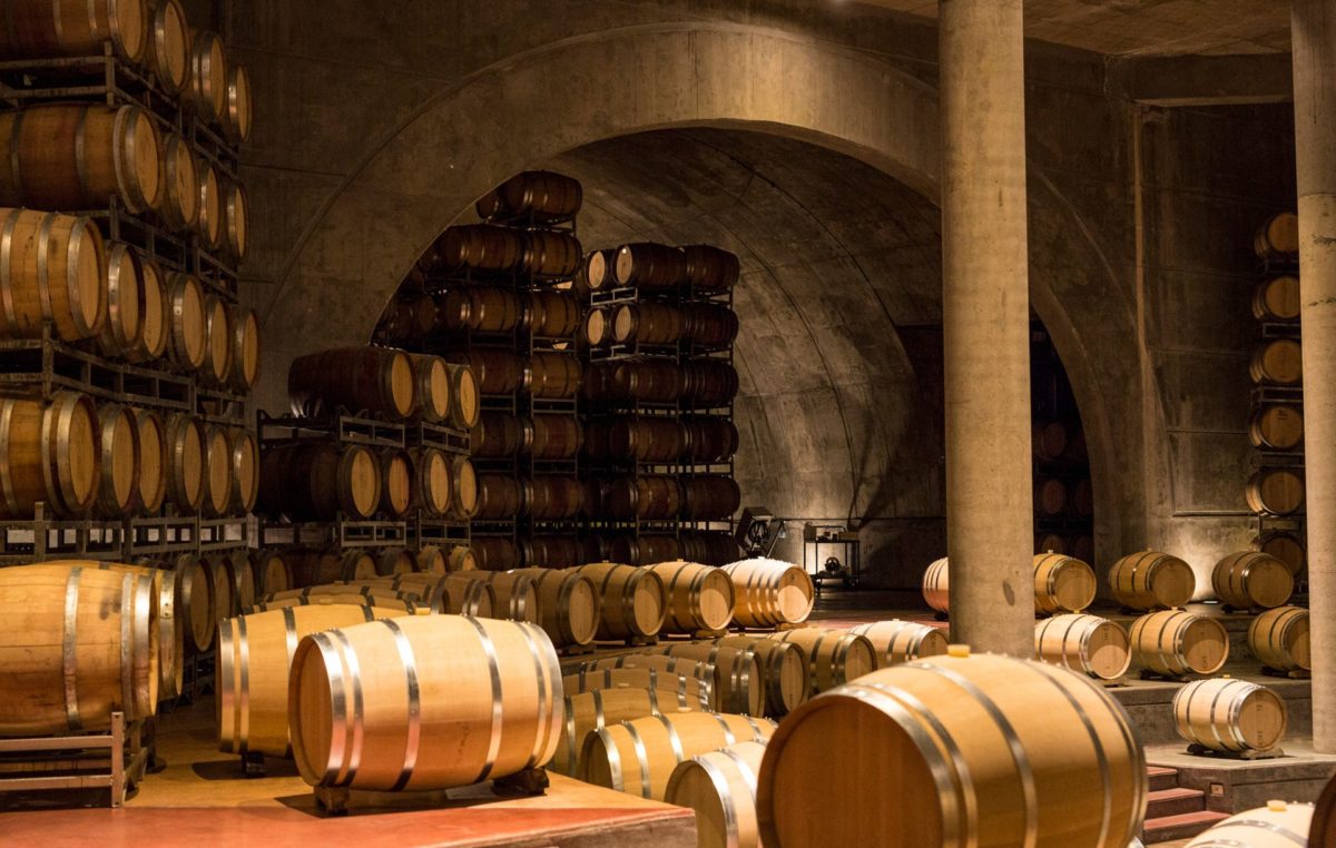 «Vengan, que nosotros ponemos el vino», la invitación para conocer Mendoza