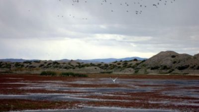 Lanzan una campaña «en defensa del agua para la vida»