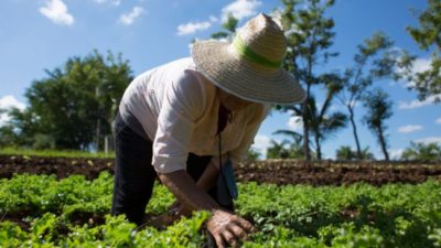 Agroecología: una oportunidad de transformación integral