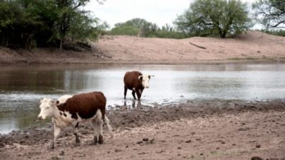 Entre Ríos enfrenta la peor sequía de los últimos 60 años