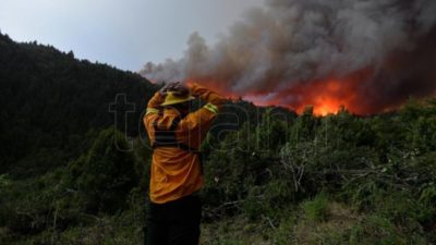 El titular del directorio de Parques afirmó que tras años de precarización la situación de los combatientes mejoró notablemente