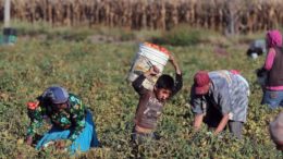 Nación repartió $24 millones entre dos municipios peronistas y tres de Cambia Mendoza