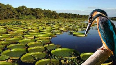 Un destino argentino está en el Top 10 de los mejores lugares del mundo publicado por The New York Times