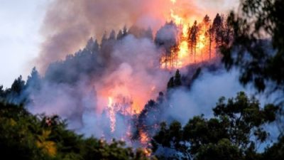 Ya son 6 mil las hectáreas de bosque nativo afectadas por el incendio en zona de Bariloche