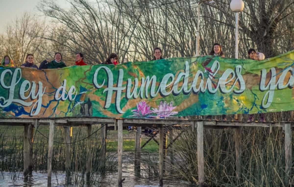 ¿Por qué la Ley de Humedales perdió, por tercera vez, su estado parlamentario?
