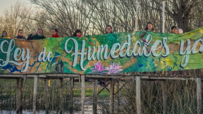 ¿Por qué la Ley de Humedales perdió, por tercera vez, su estado parlamentario?