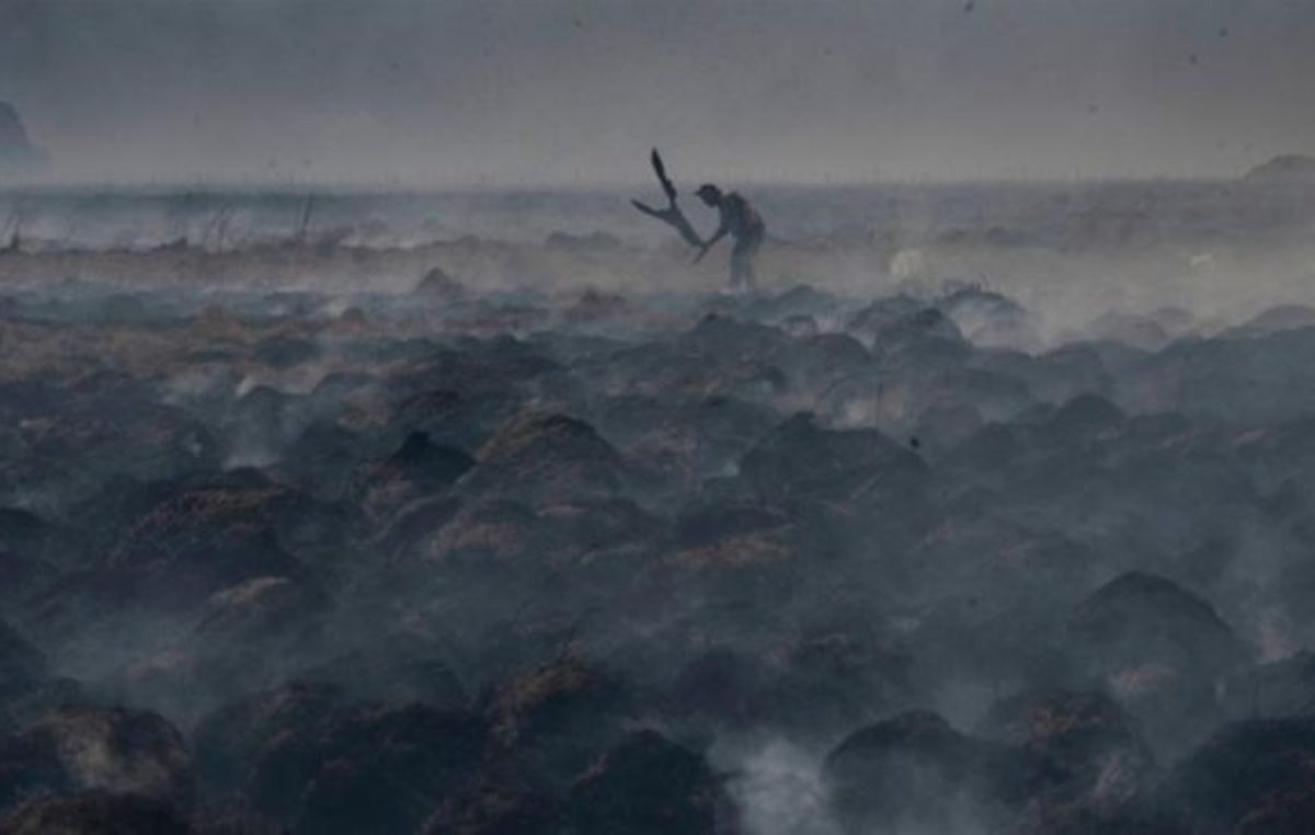 Estiman en más de $ 26.000 millones las pérdidas por los incendios en Corrientes