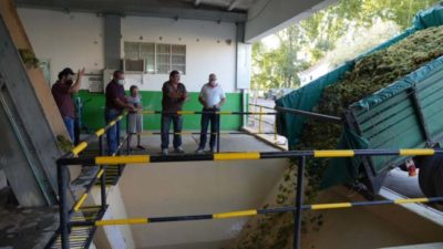 La bodega municipal de Junín inició su Vendimia 2022