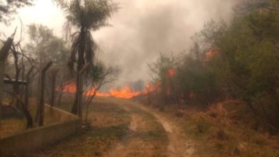 Con la ayuda de Ambiente, continúa el combate a las llamas en Corrientes