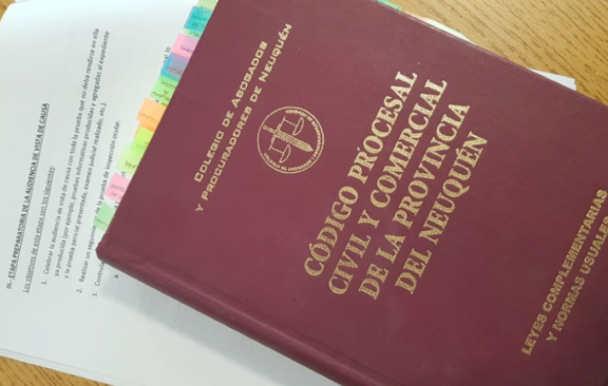 Cómo impactará en la vida de la gente la reforma del Código Procesal Civil neuquino