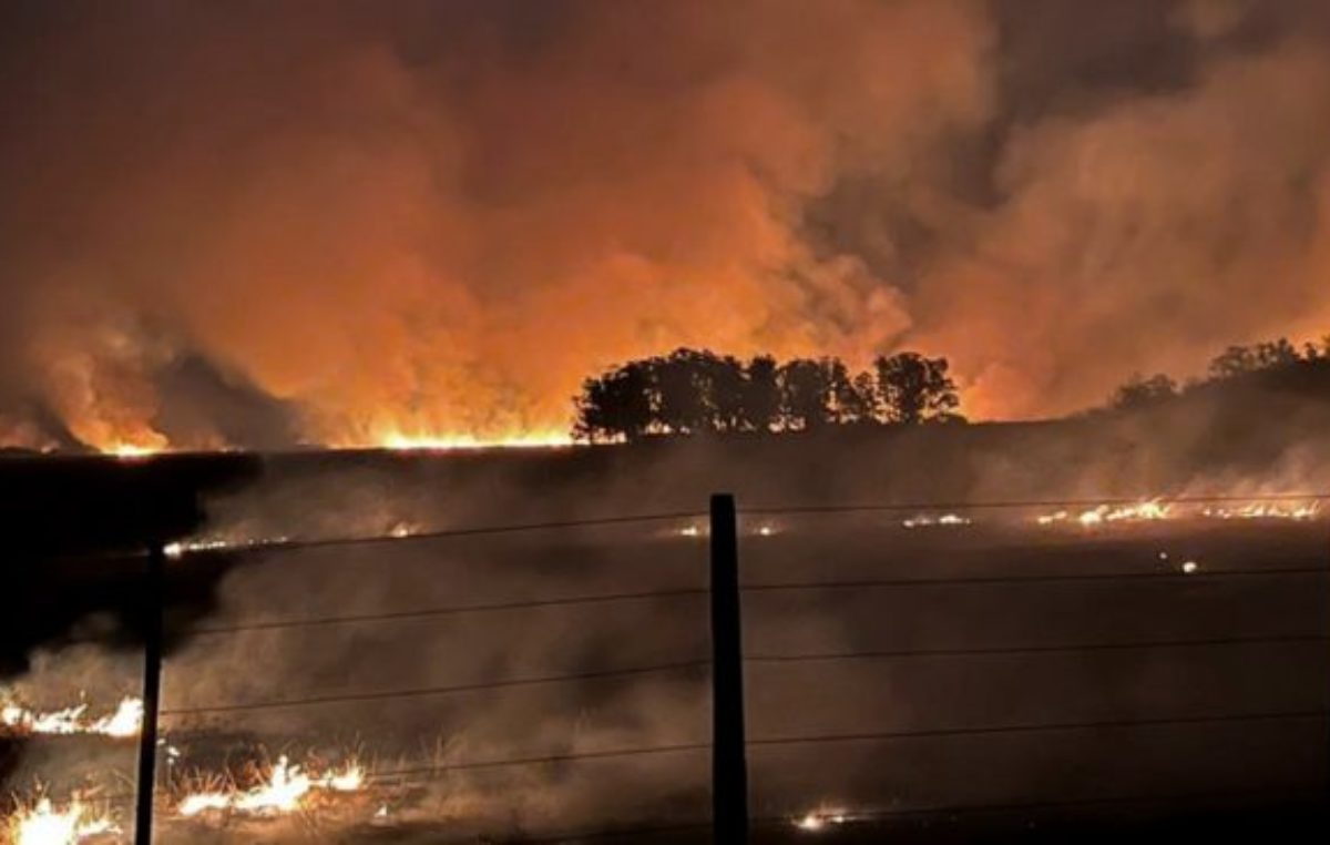 Continúan sin control los incendios en Corrientes: hay más de 20 focos activos