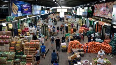 El modelo boliviano de Empresa Nacional de Alimentos