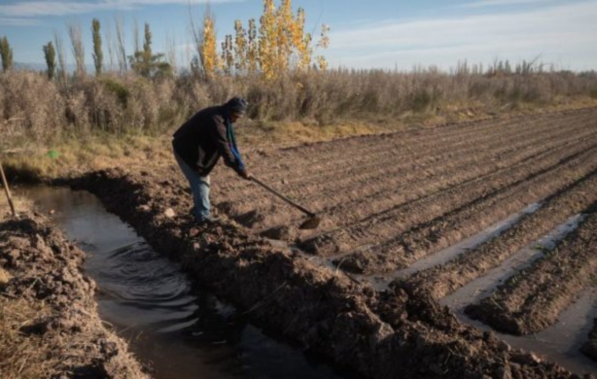 En Mendoza bajó la desocupación pero casi 100.000 personas trabajan en la informalidad