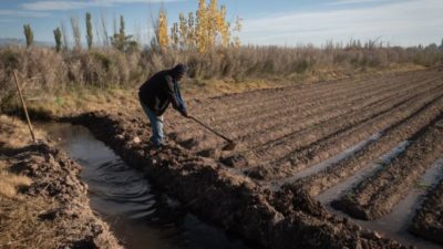 En Mendoza bajó la desocupación pero casi 100.000 personas trabajan en la informalidad