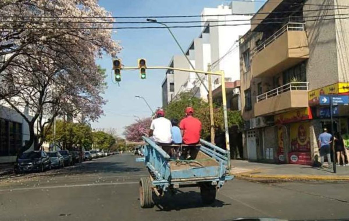 Córdoba: el 85% de los pobres recibe algún plan provincial
