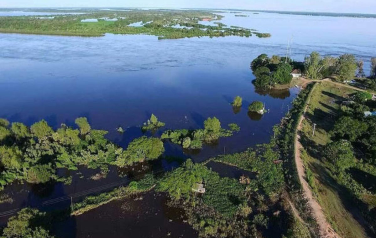 Bajos Submeridionales: el plan que busca recuperar hasta 1,2 millones de hectáreas para la producción