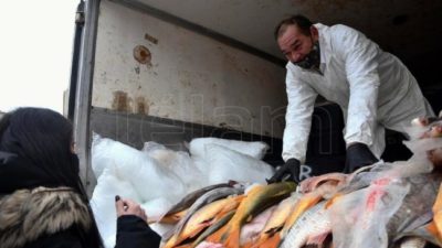 La acuicultura generará exportaciones por US$ 500 millones y 1.000 puestos de trabajo