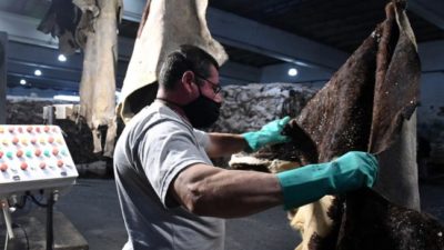 Destacan que el nivel de empleo registrado es el máximo en 10 años