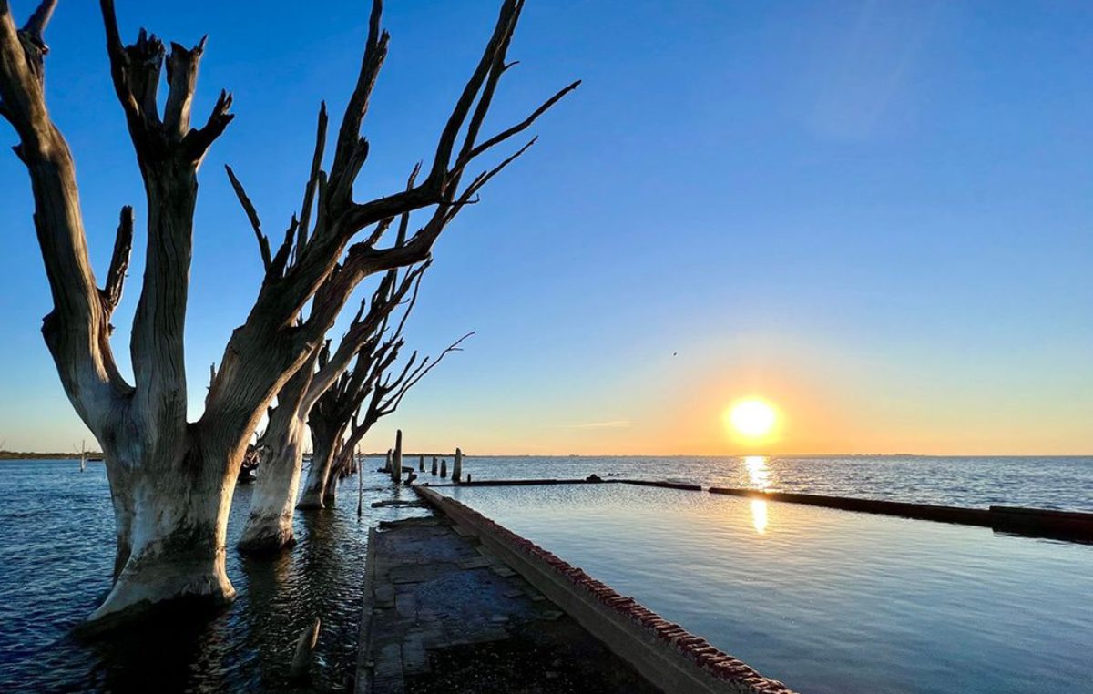 Parque Nacional Ansenuza: una historia de conservación