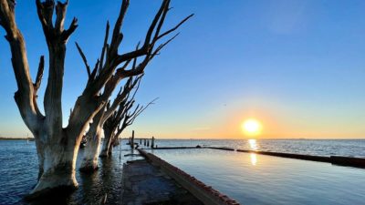 Parque Nacional Ansenuza: una historia de conservación