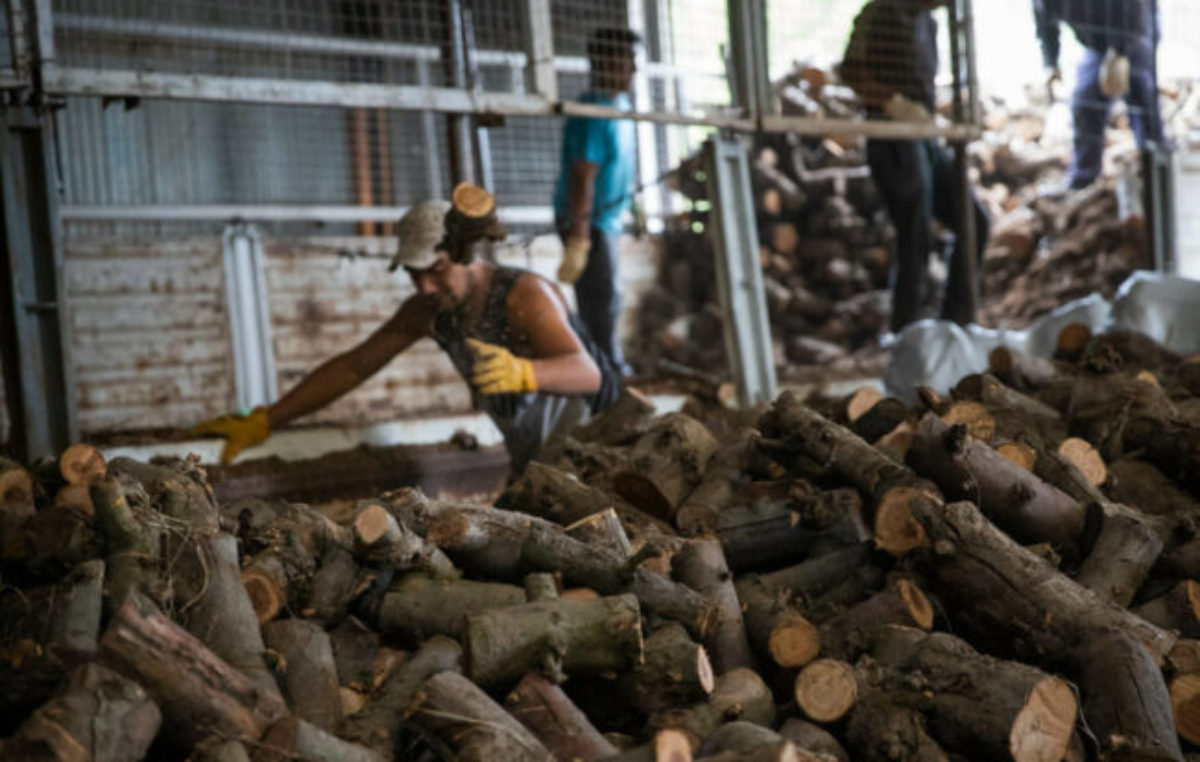 Río Negro: Cómo se reparten los $900 millones del Plan Calor