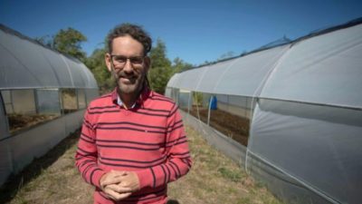 Un municipio tiene autorización para plantar cannabis medicinal