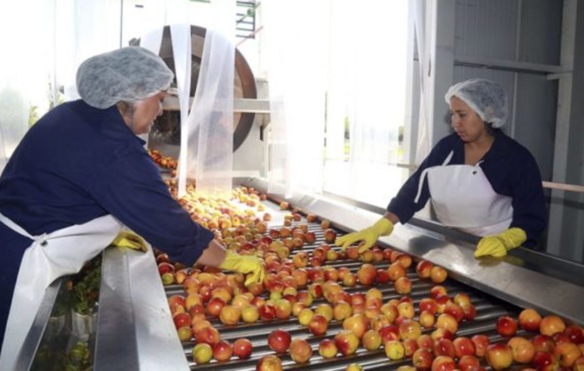 «La transición hacia la economía circular debe hacerse con perspectiva de género»