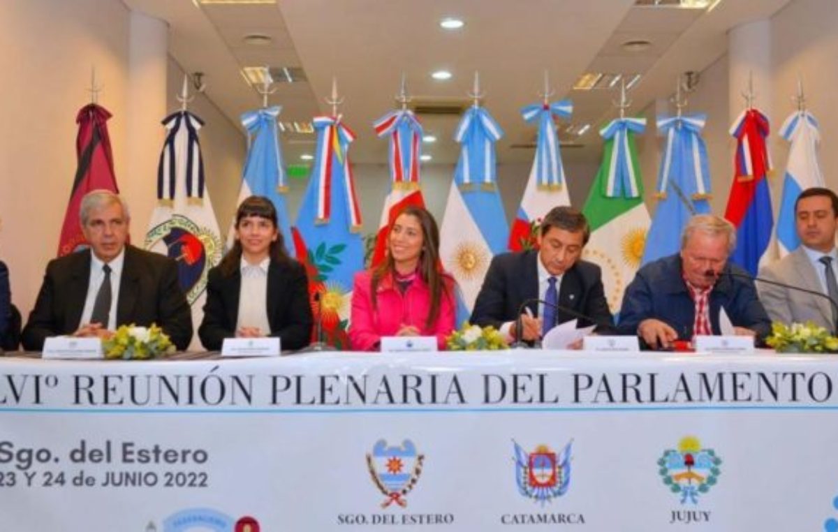 Subsidio del transporte, falta de gasoil y obras, entre los temas que unen al Norte Grande