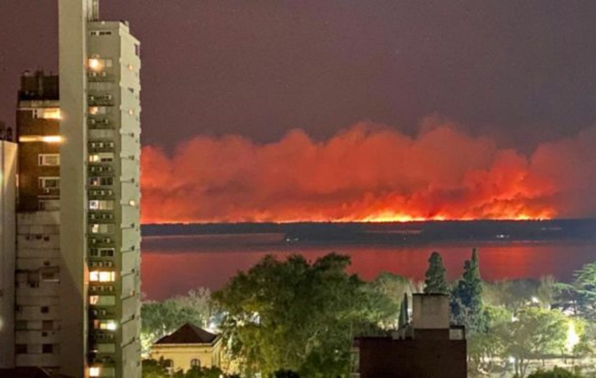 Legisladores y organizaciones pidieron voluntad política para terminar con los incendios en las islas