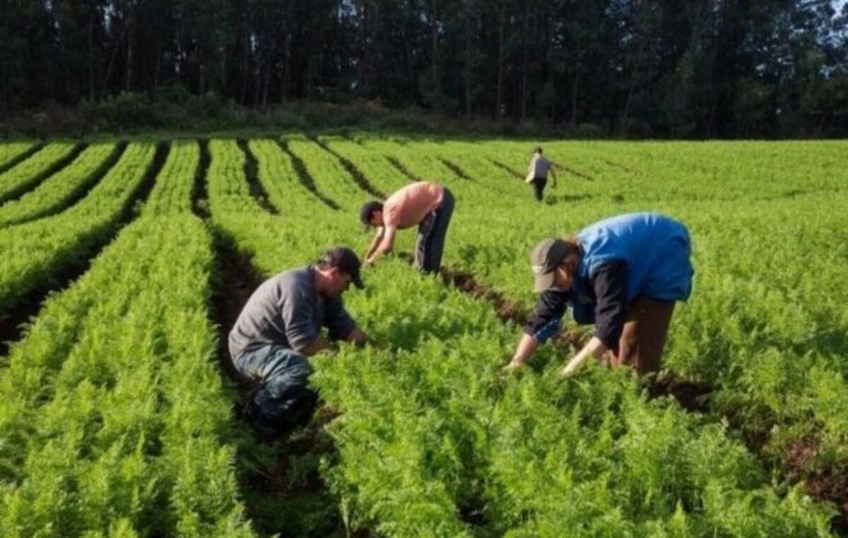 Lanzaron una plataforma digital para mapear tierras productivas